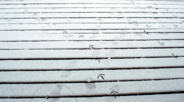 Mit Einem Leichten Schneestaub Auf Dem Hinterhof Deck Missouri Machen — Stockfoto