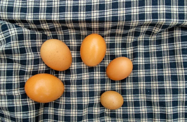 Cinci Dimensiuni Ouă Proaspete Fermă Afișate Într Semicerc Țesătură Model — Fotografie, imagine de stoc
