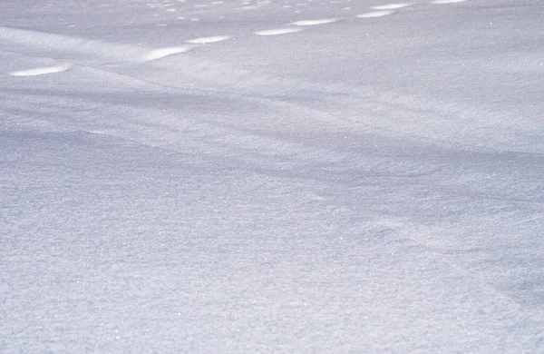 Einem Kalten Wintertag Bedeckt Eine Schneeschicht Den Boden Südwesten Von — Stockfoto