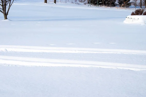 Ein Dicker Schnee Bedeckte Diesem Wintertag Den Rasen Missouri Reifenspuren — Stockfoto