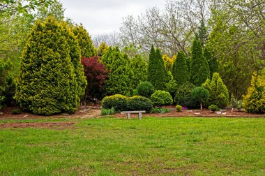 Çeşitli boyutlarda ve şekillerde yeşil sedir ağaçlarından oluşan bir bahçe, sessiz meditasyon ve rahatlama için mükemmel bir bahar zamanı ortamı sağlar..