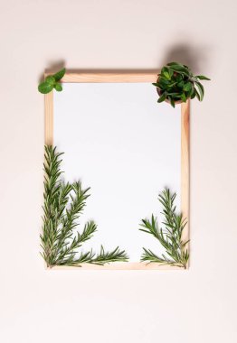 Üst görünüm, biberiye dalları, nane yaprakları ve salvia ile beyaz kağıt yaprak