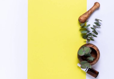 Sarı arka planda okaliptüs yaprakları ve yağ, üst görünüm