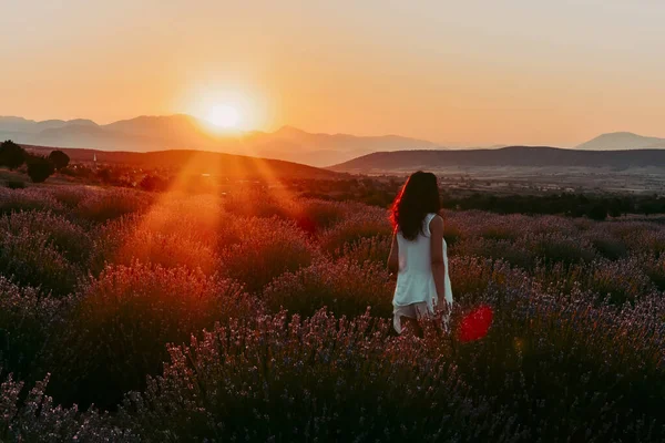 Kuyucak - Türkiye 'de bir lavanta tarlası ve güneş ışığı