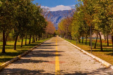 Türkiye 'de her iki tarafında ağaçlar olan uzun ve ince kaldırım taşı yolu