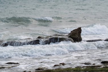 Kıyıda beyaz kaplama deniz dalgaları