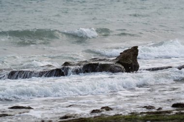 Kıyıda beyaz kaplama deniz dalgaları
