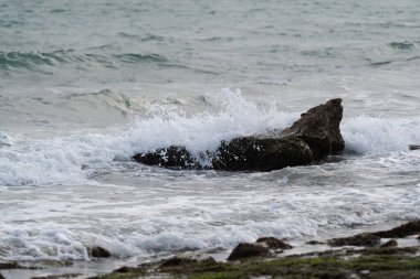 Kıyıda beyaz kaplama deniz dalgaları
