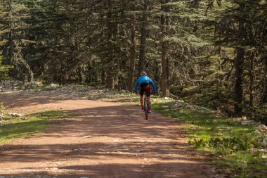 Türkiye 'de ormanda bisiklet süren bir bisikletçi
