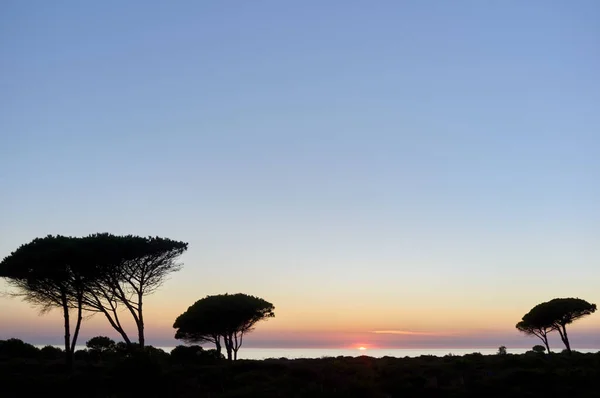 Pôr Sol Sobre Costa Roche Com Árvores Silhuetas Contra Colorido — Fotografia de Stock