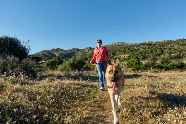 女性と彼女のドイツの羊飼いの犬の運動一緒に太陽の下で森の中を実行している — ストック写真