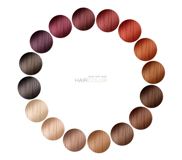 Circular Palette Swatches Showing Range Different Hair Colors Use Hair — ストック写真