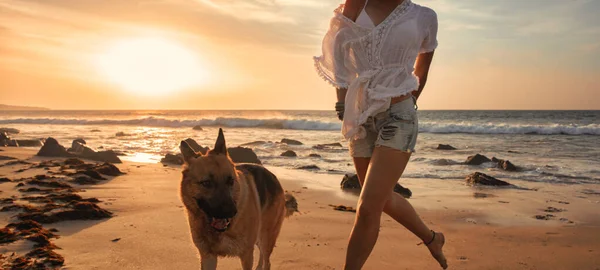 ロマンチックなビーチでドイツの羊飼いの犬と一緒に素足で走る流行のスレンダーなスレンダーな女性のパノラマ 夏休みライフスタイルバナー — ストック写真