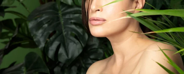 美丽的女人 有着完美无缺的自然洁净的肌肤 在新鲜的热带绿叶中 天然生物化妆品和护肤概念 — 图库照片