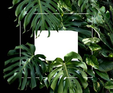 Tropical rain forest design template with central copy space on a white card surrounded by lush green foliage and a stylish thin white border over a black background