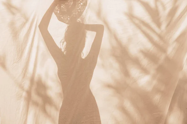 Sunlit Silhouette Sexy Shapely Lady Standing Amongst Tropical Plants Viewed — Stock Photo, Image