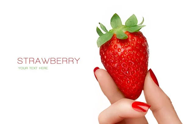 Female Hand Holding a Luscious Ripe Strawberry. Template Design — Stock Photo, Image