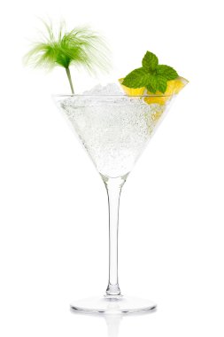 Mojito kokteyli votka Martini cam