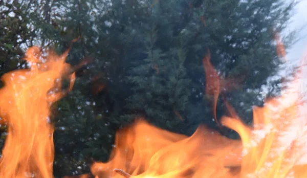 Holzfeuer Und Feuer — Stockfoto