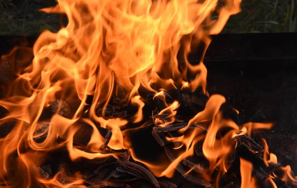 木头燃烧的火焰和燃烧 — 图库照片