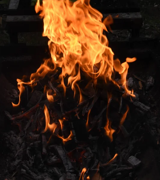 Holzfeuer Und Feuer — Stockfoto