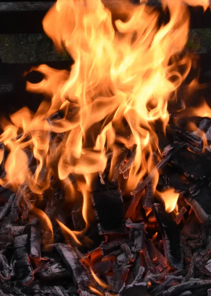 Wood Burning Flames Ember — Stock Photo, Image