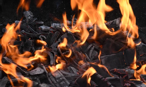 Hořící Dřevo Uhlík — Stock fotografie