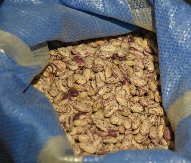 Fasulye sebzeleri dükkanda.