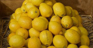 Dükkanda limon meyvesi