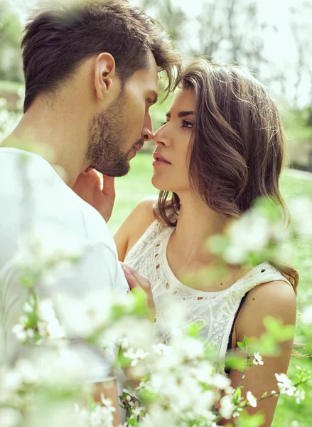 Beijar casal no jardim — Fotografia de Stock