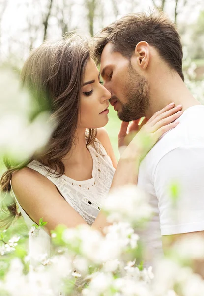 Целующиеся пары в цветущем саду — стоковое фото