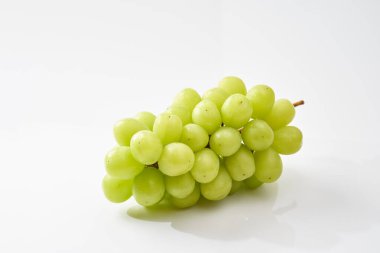 Muscat 'i bir hediye olarak parlat