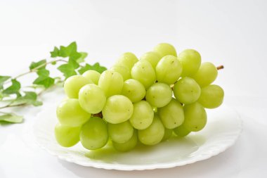 Muscat 'i bir hediye olarak parlat