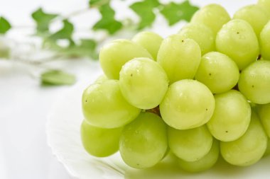 Muscat 'i bir hediye olarak parlat