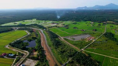 Berrak gökyüzü altında dolambaçlı nehir ve uzak dağlarla Malezya çeltik tarlalarının havadan görünüşü, tropik kırsal manzara ve tarım güzelliğini gözler önüne seriyor..