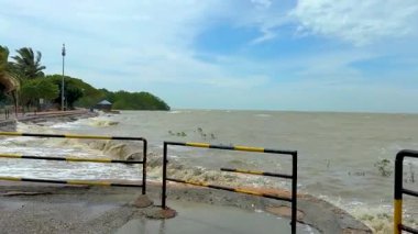 Mangrov bölgesi yakınlarındaki dalgalı deniz koşullarında güçlü dalgalar sahile vuruyor..