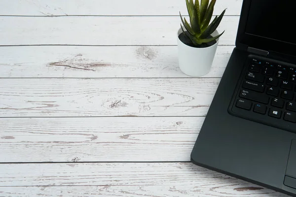 Verimliliği, dijital çalışma ortamını ve profesyonel yaşam tarzını temiz kopya alanı ile dengeleyen beyaz ahşap masa üzerinde dizüstü bilgisayarı ve saksısı olan modern iş alanı.