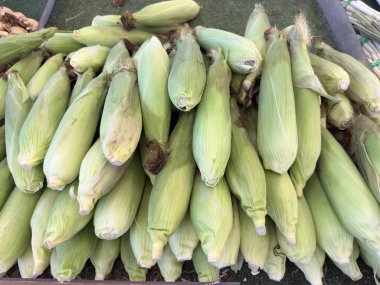 Markete istiflenmiş kabuklu taze mısır koçanları, çiğ sebzeleri, tarım ürünlerini, sağlıklı besin maddelerini ve doğal tarım kavramını temsil ediyor..