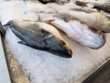 Tatlı su deniz ürünlerini, ham yemek malzemelerini, geleneksel pazar kültürünü ve protein zengini besin kaynaklarını temsil eden taze yayın balığı sergileniyor..