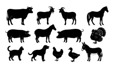 Beyaz arka planda izole edilmiş çiftlik hayvanı siluetleri vektör sanatı koleksiyonu. Hayvanlar siluet vektör simgeleri bohça tasarım şablonu ayarlar.