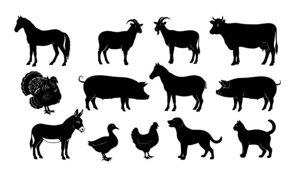 Коллекция силуэтов черных животных, включая сельскохозяйственных животных, таких как коровы, свиньи и куры, и домашних животных, таких как кошки и собаки, на белом фоне.