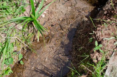 kaynak suyu, temiz su