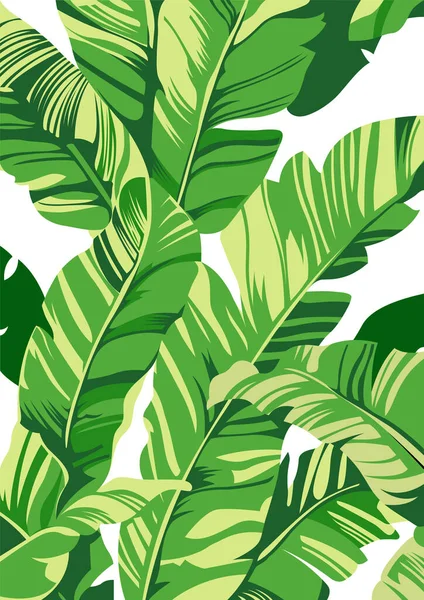 Muster Bananenbaum Und Blätter Dass Eine Tropische Pflanze Auf Weißem — Stockvektor