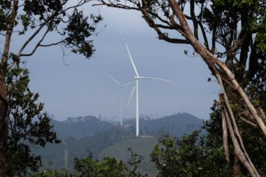 Tepelerde iki rüzgar türbini ve fotoğraf çerçevesi olarak ön plan ağacı.