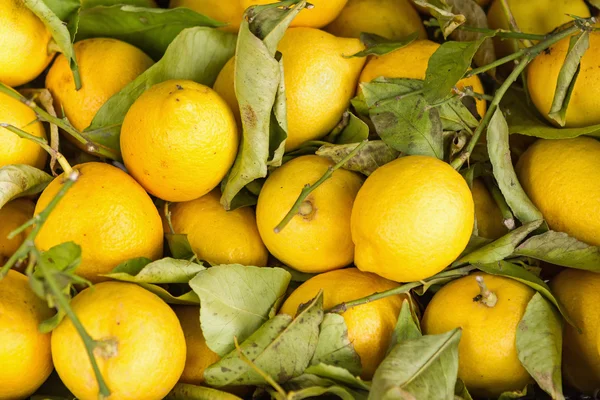 Unos limones en una caja de madera para la venta — Foto de Stock