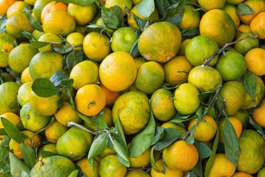 bir kaç underripe mandalina içinde Satılık ahşap bir krater