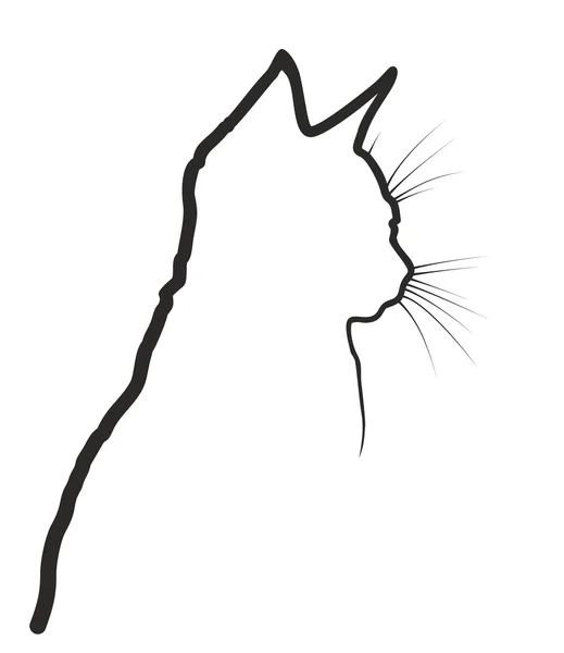 Náčrt Cat. — Stockový vektor