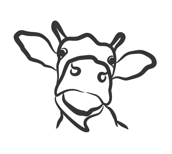 Dibujo de la cabeza de vaca . — Vector de stock