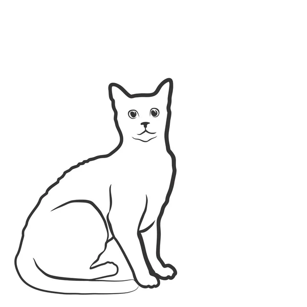 An Angry Cat Sitting On A White Background Outline Sketch Drawing