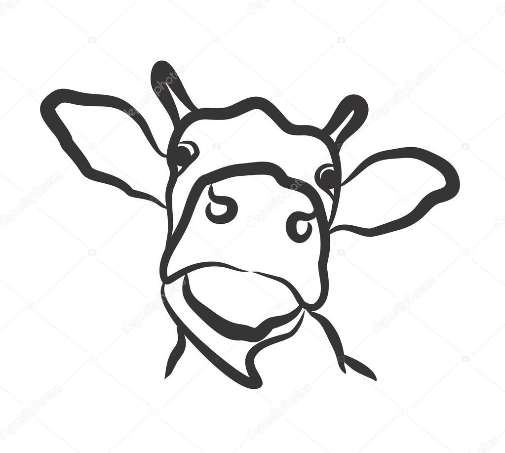 Drawing of cow head.